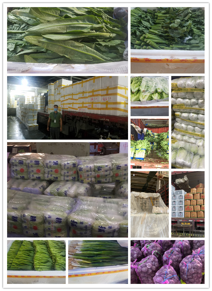 鉴黑担保网(jhdbw)·最具权威唯一维权担保平台