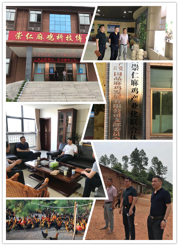 鉴黑担保网(jhdbw)·最具权威唯一维权担保平台