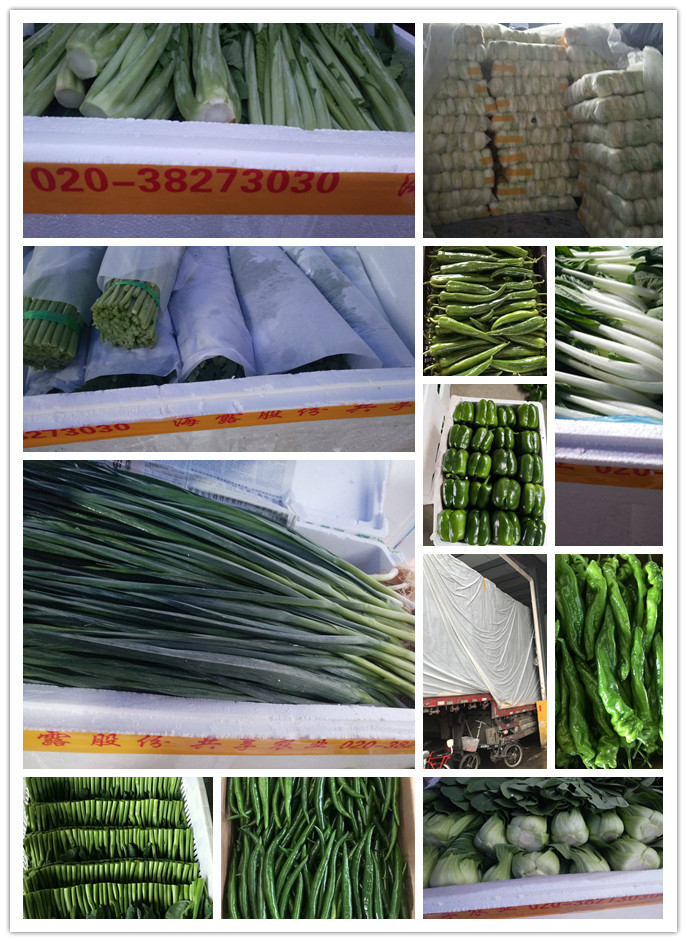 鉴黑担保网(jhdbw)·最具权威唯一维权担保平台