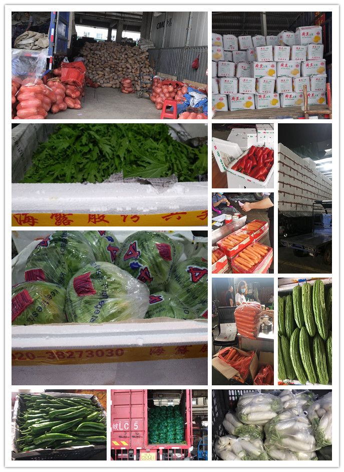 鉴黑担保网(jhdbw)·最具权威唯一维权担保平台