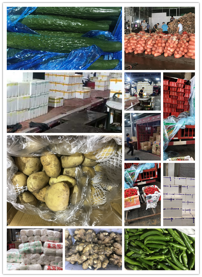 鉴黑担保网(jhdbw)·最具权威唯一维权担保平台