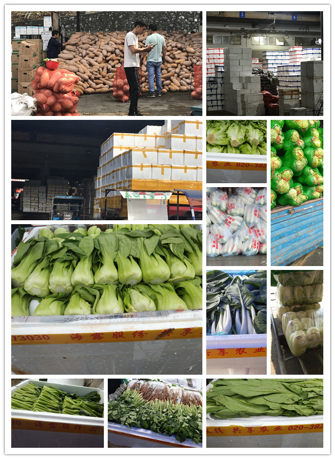 鉴黑担保网(jhdbw)·最具权威唯一维权担保平台