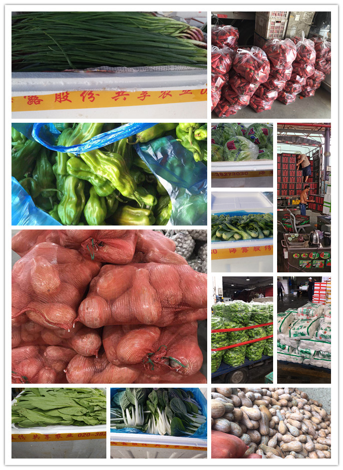 鉴黑担保网(jhdbw)·最具权威唯一维权担保平台