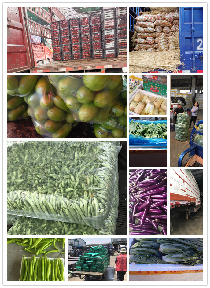 鉴黑担保网(jhdbw)·最具权威唯一维权担保平台