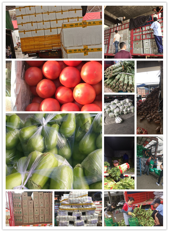 鉴黑担保网(jhdbw)·最具权威唯一维权担保平台