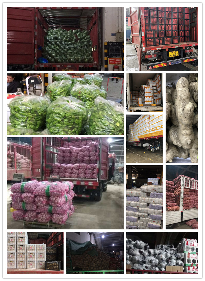 鉴黑担保网(jhdbw)·最具权威唯一维权担保平台