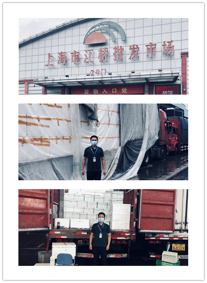 鉴黑担保网(jhdbw)·最具权威唯一维权担保平台