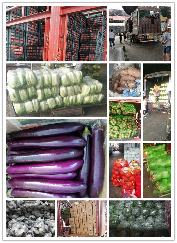 鉴黑担保网(jhdbw)·最具权威唯一维权担保平台