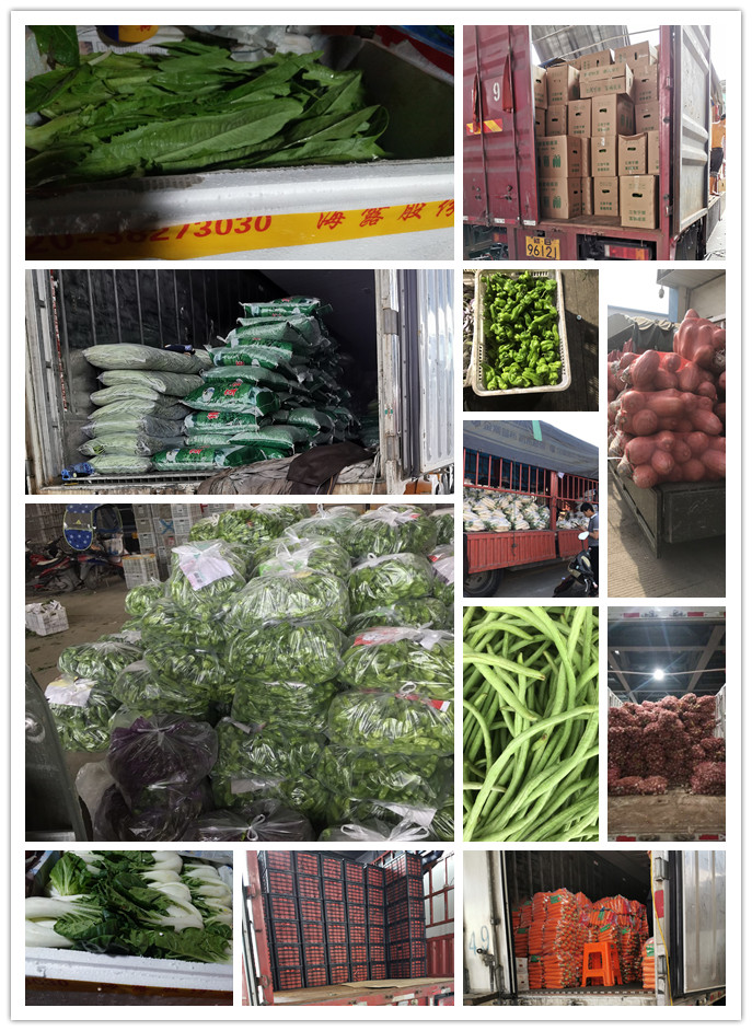 鉴黑担保网(jhdbw)·最具权威唯一维权担保平台