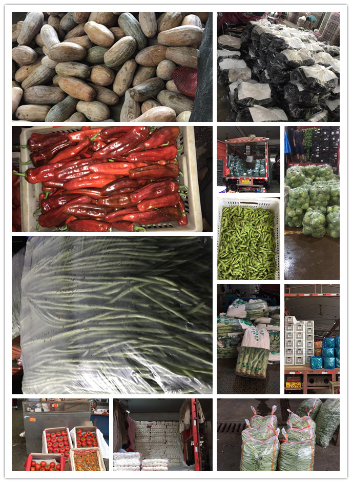 鉴黑担保网(jhdbw)·最具权威唯一维权担保平台