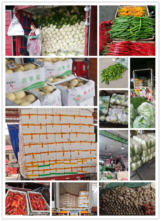 鉴黑担保网(jhdbw)·最具权威唯一维权担保平台