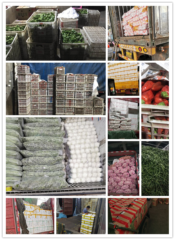 鉴黑担保网(jhdbw)·最具权威唯一维权担保平台