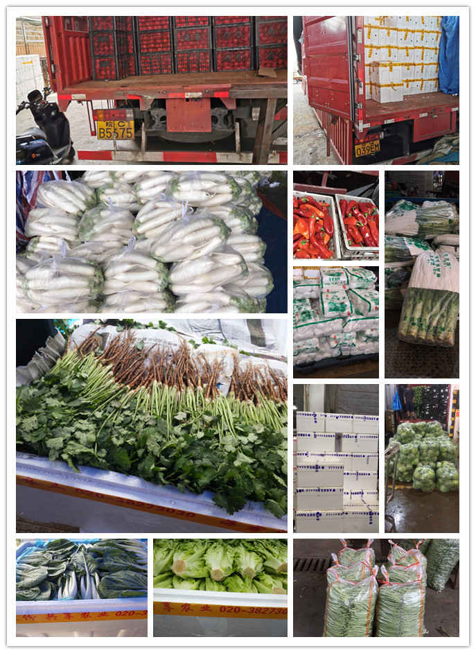 鉴黑担保网(jhdbw)·最具权威唯一维权担保平台