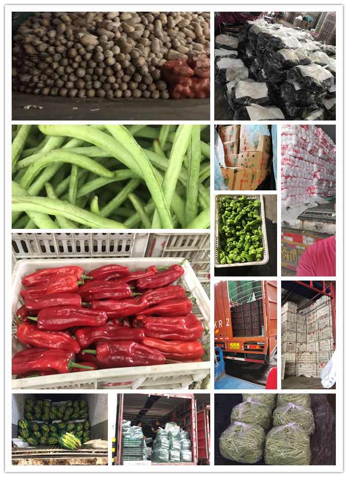 鉴黑担保网(jhdbw)·最具权威唯一维权担保平台