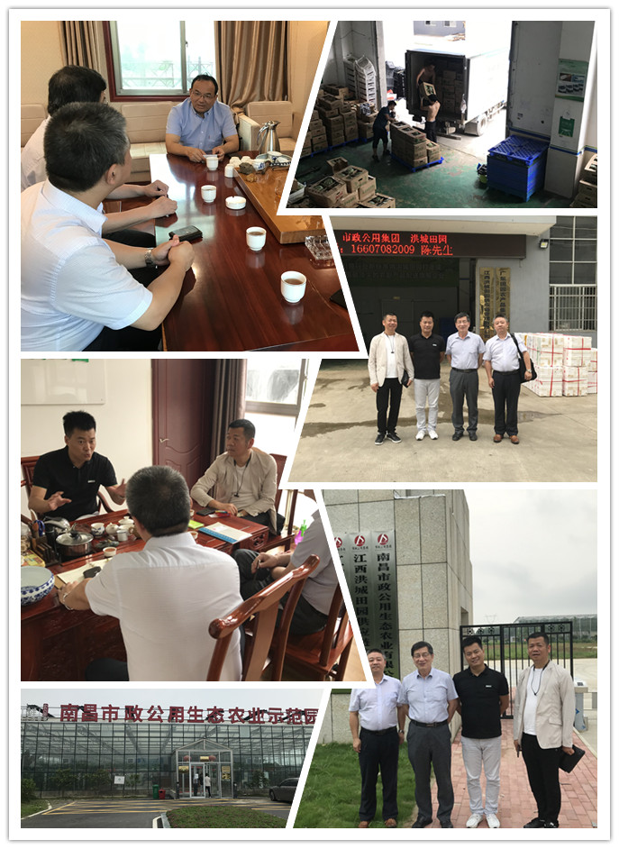 鉴黑担保网(jhdbw)·最具权威唯一维权担保平台