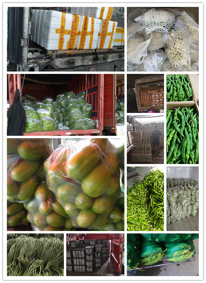 鉴黑担保网(jhdbw)·最具权威唯一维权担保平台