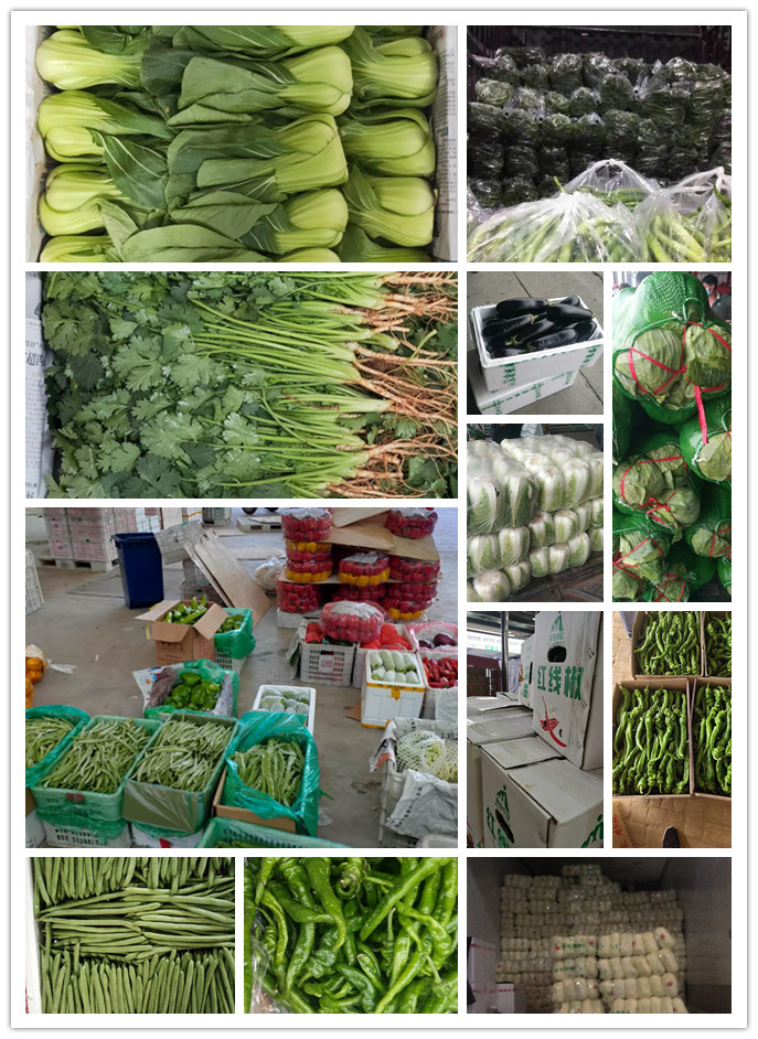 鉴黑担保网(jhdbw)·最具权威唯一维权担保平台