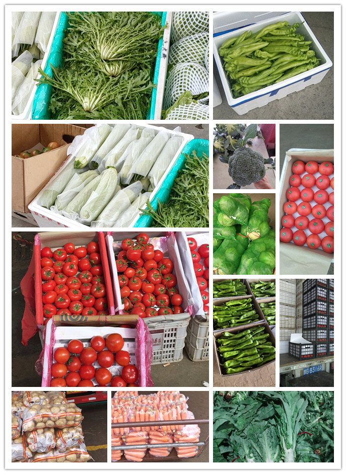 鉴黑担保网(jhdbw)·最具权威唯一维权担保平台