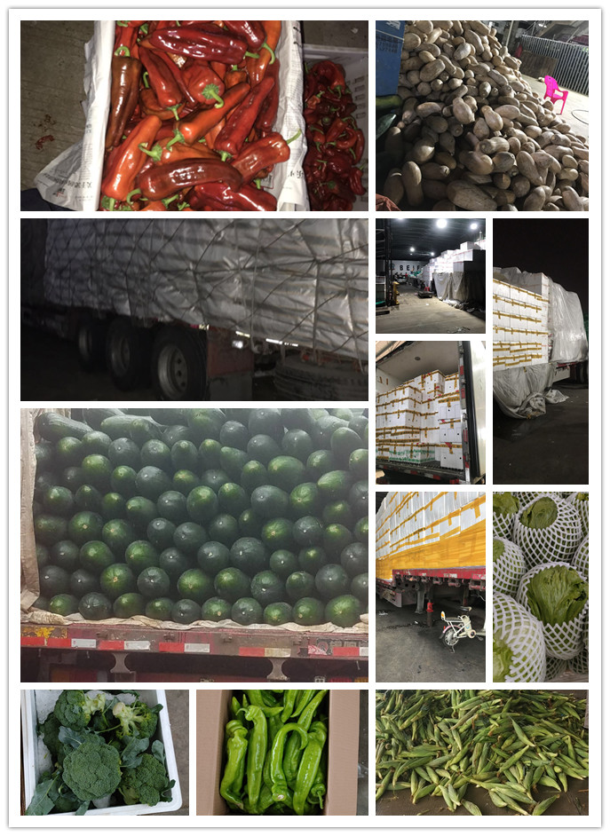 鉴黑担保网(jhdbw)·最具权威唯一维权担保平台