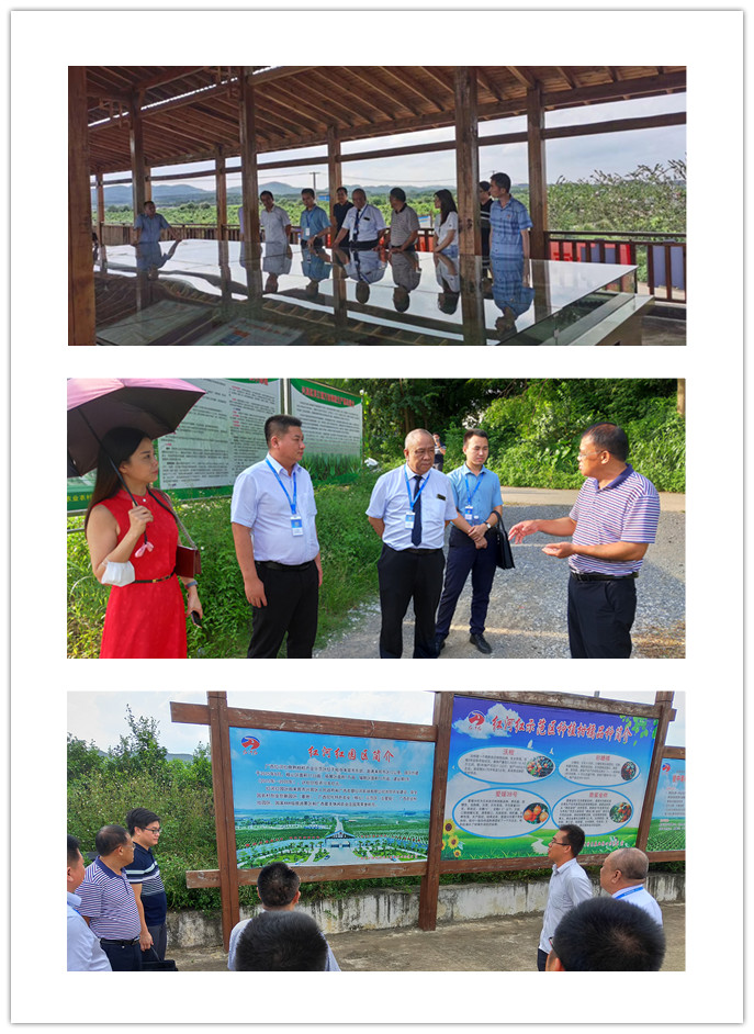 鉴黑担保网(jhdbw)·最具权威唯一维权担保平台