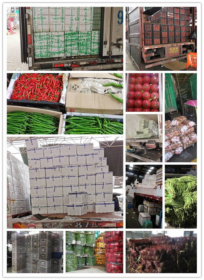 鉴黑担保网(jhdbw)·最具权威唯一维权担保平台