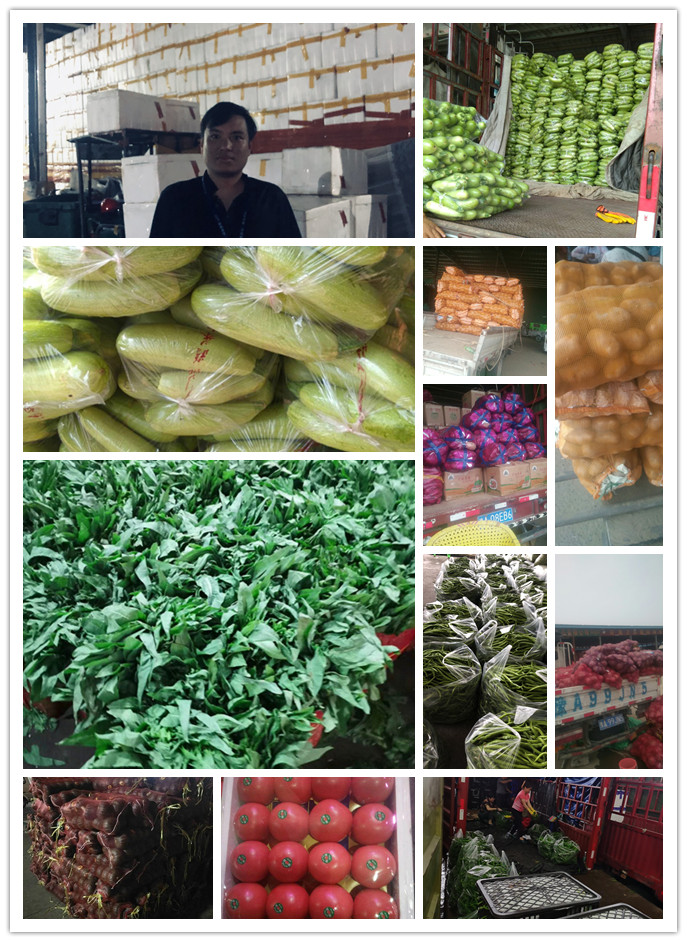 鉴黑担保网(jhdbw)·最具权威唯一维权担保平台