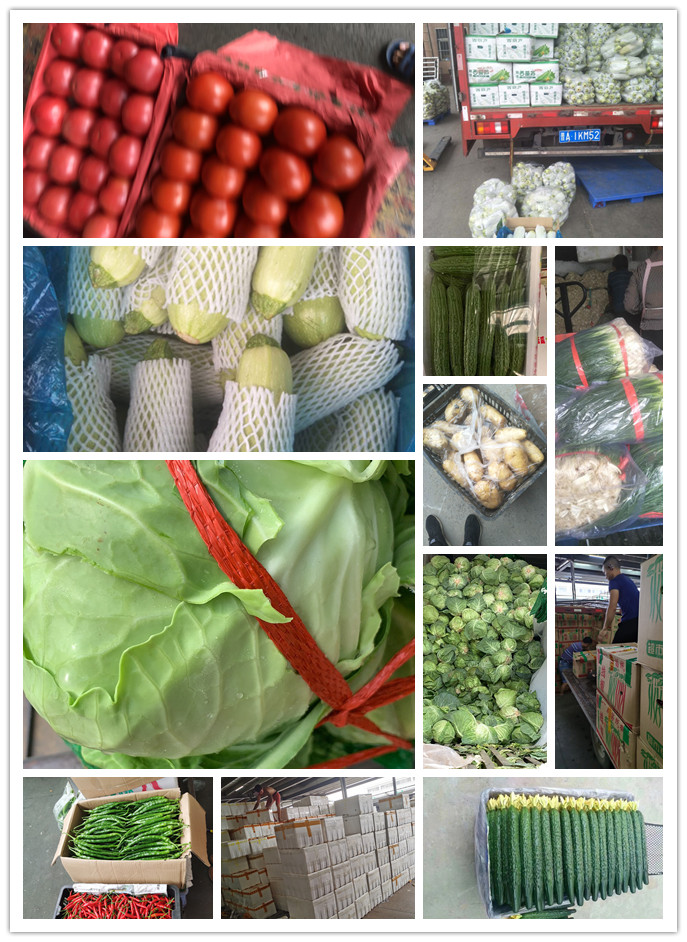 鉴黑担保网(jhdbw)·最具权威唯一维权担保平台