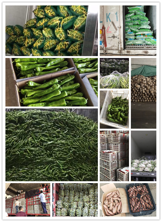 鉴黑担保网(jhdbw)·最具权威唯一维权担保平台