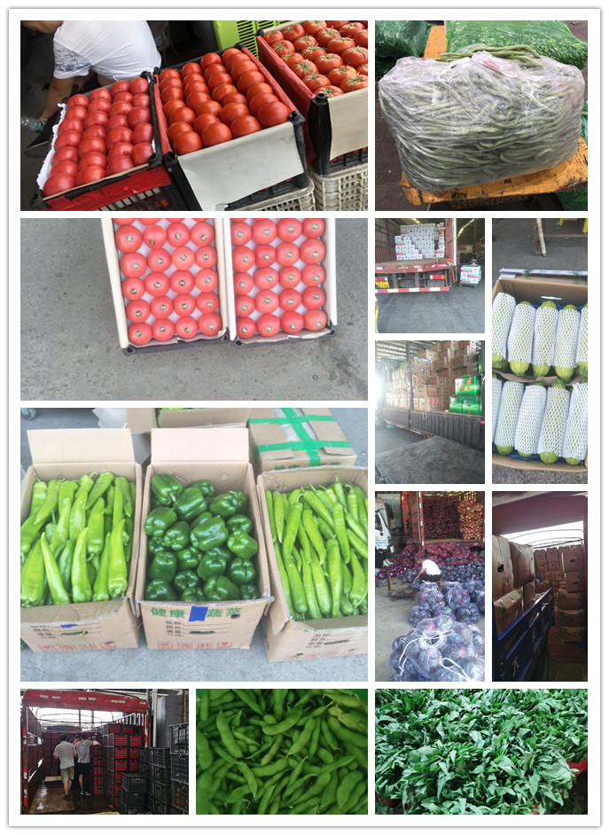 鉴黑担保网(jhdbw)·最具权威唯一维权担保平台