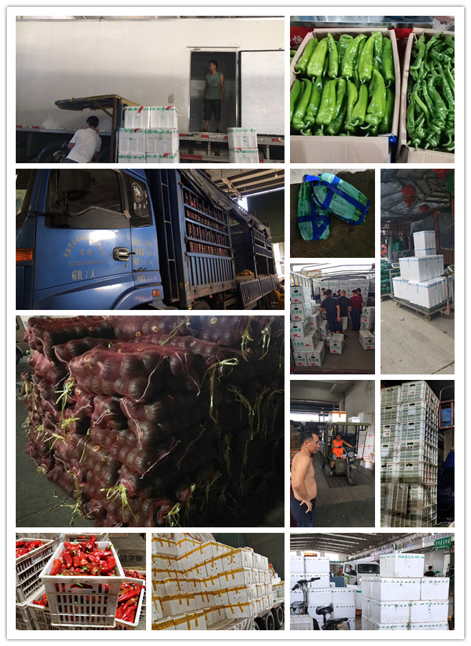 鉴黑担保网(jhdbw)·最具权威唯一维权担保平台