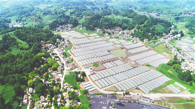 鉴黑担保网(jhdbw)·最具权威唯一维权担保平台