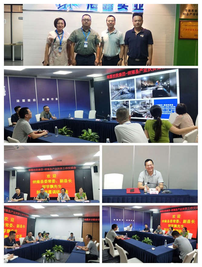 鉴黑担保网(jhdbw)·最具权威唯一维权担保平台