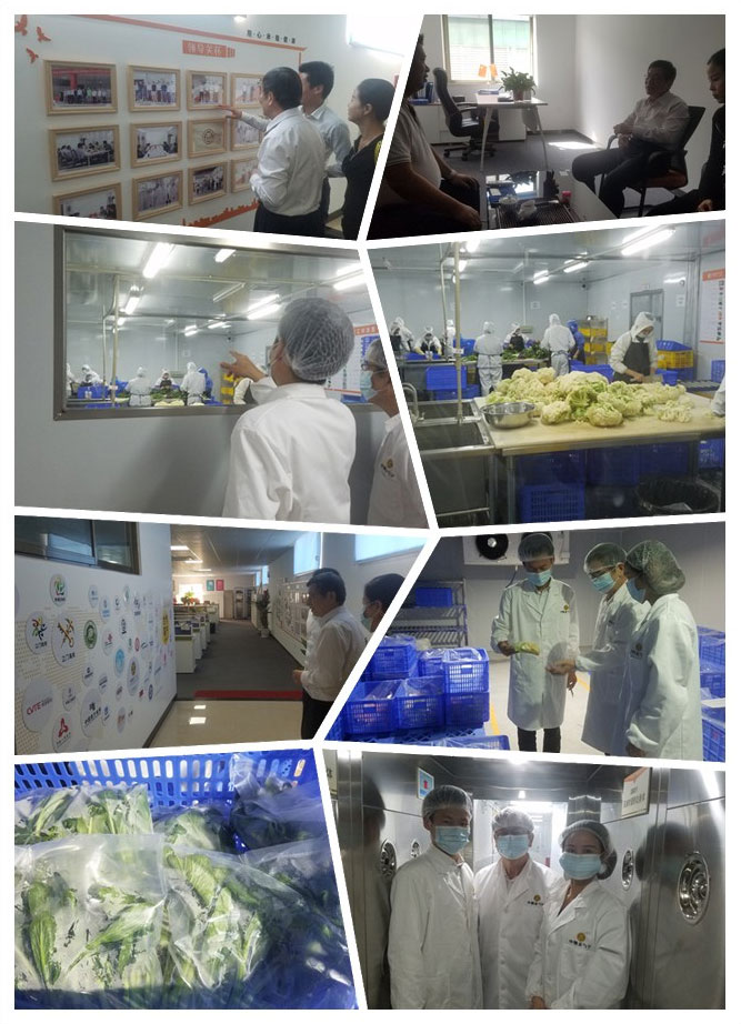 鉴黑担保网(jhdbw)·最具权威唯一维权担保平台