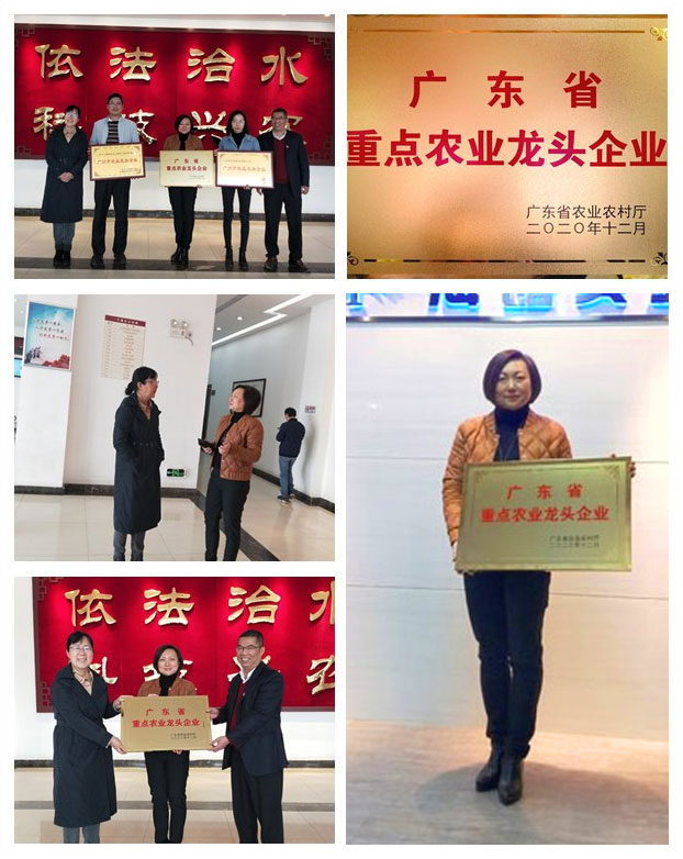 鉴黑担保网(jhdbw)·最具权威唯一维权担保平台