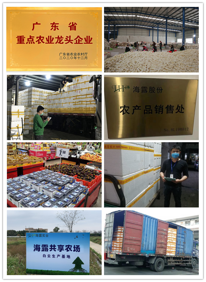 鉴黑担保网(jhdbw)·最具权威唯一维权担保平台