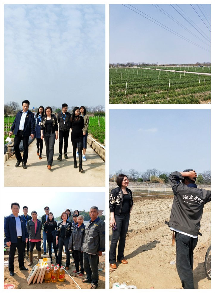 鉴黑担保网(jhdbw)·最具权威唯一维权担保平台