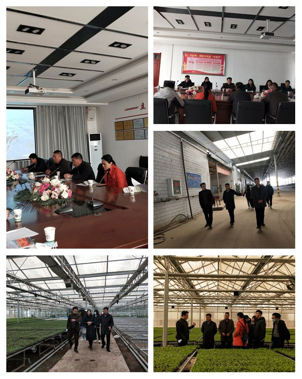 鉴黑担保网(jhdbw)·最具权威唯一维权担保平台