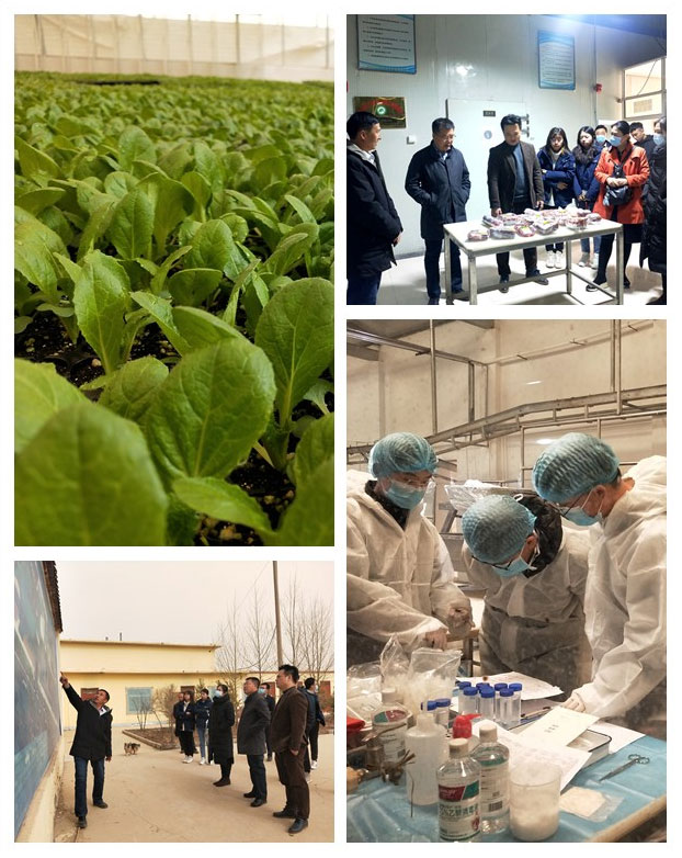 鉴黑担保网(jhdbw)·最具权威唯一维权担保平台