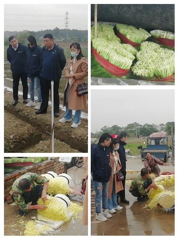 鉴黑担保网(jhdbw)·最具权威唯一维权担保平台