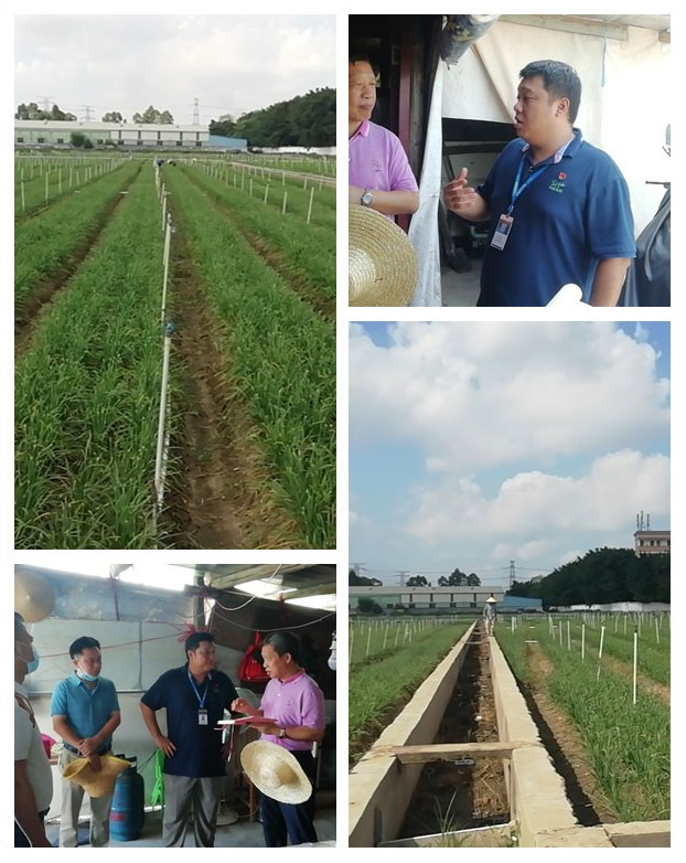 鉴黑担保网(jhdbw)·最具权威唯一维权担保平台