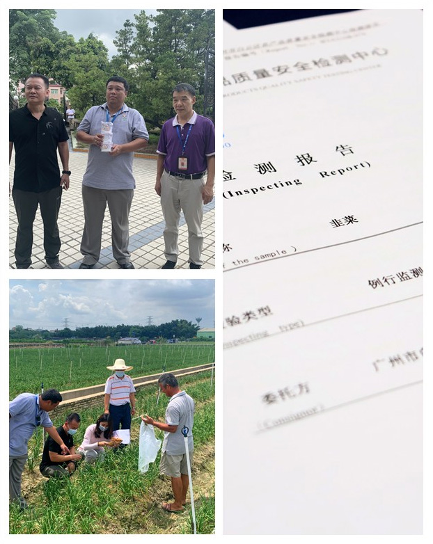 鉴黑担保网(jhdbw)·最具权威唯一维权担保平台