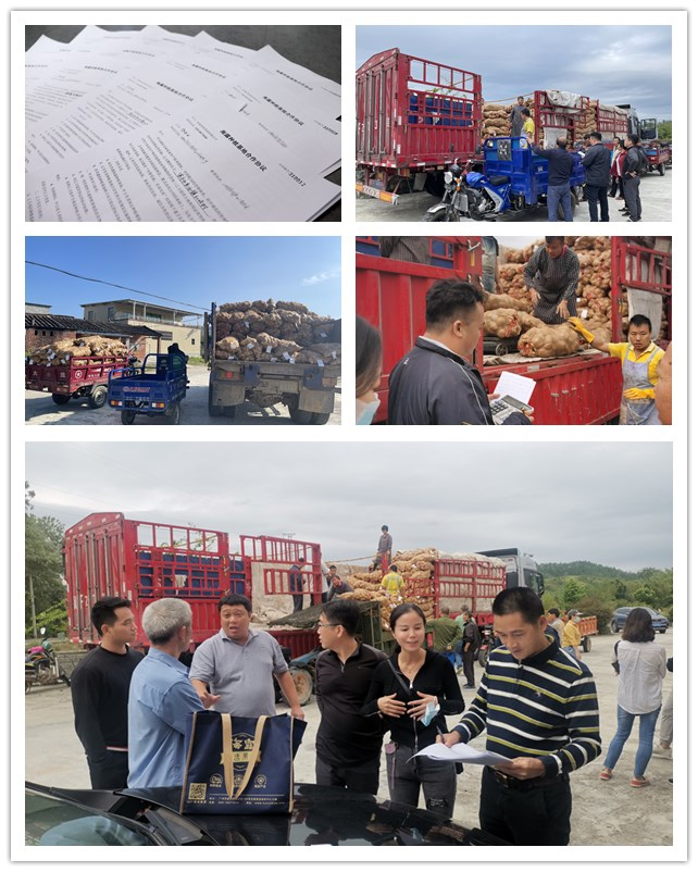 鉴黑担保网(jhdbw)·最具权威唯一维权担保平台