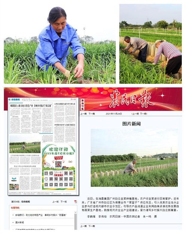 鉴黑担保网(jhdbw)·最具权威唯一维权担保平台