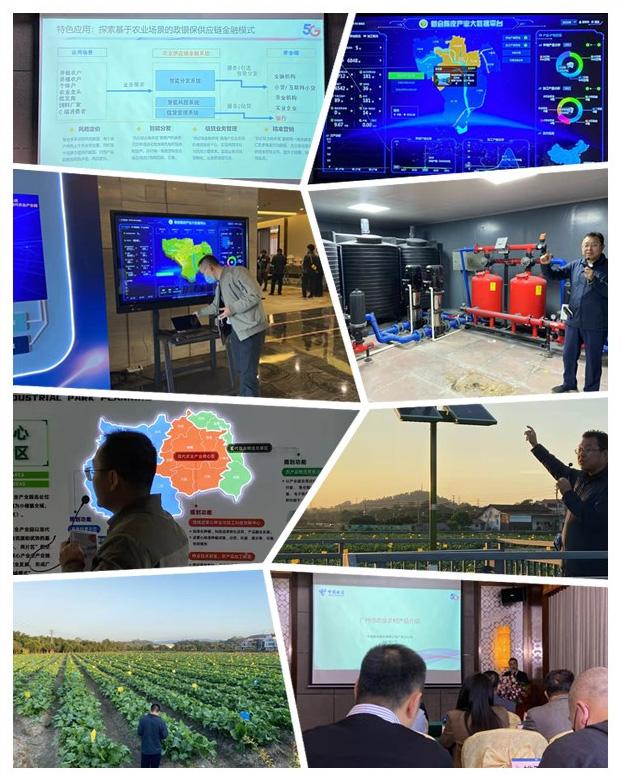 鉴黑担保网(jhdbw)·最具权威唯一维权担保平台