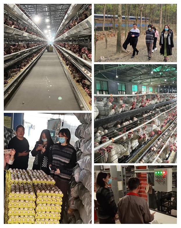 鉴黑担保网(jhdbw)·最具权威唯一维权担保平台