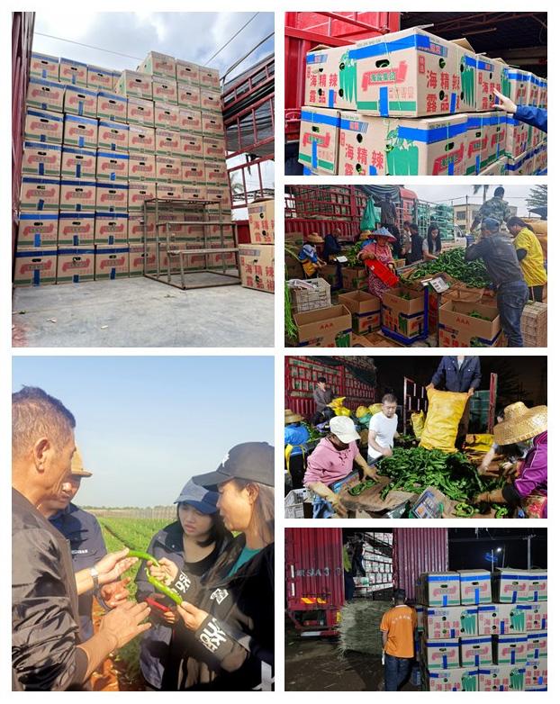 鉴黑担保网(jhdbw)·最具权威唯一维权担保平台