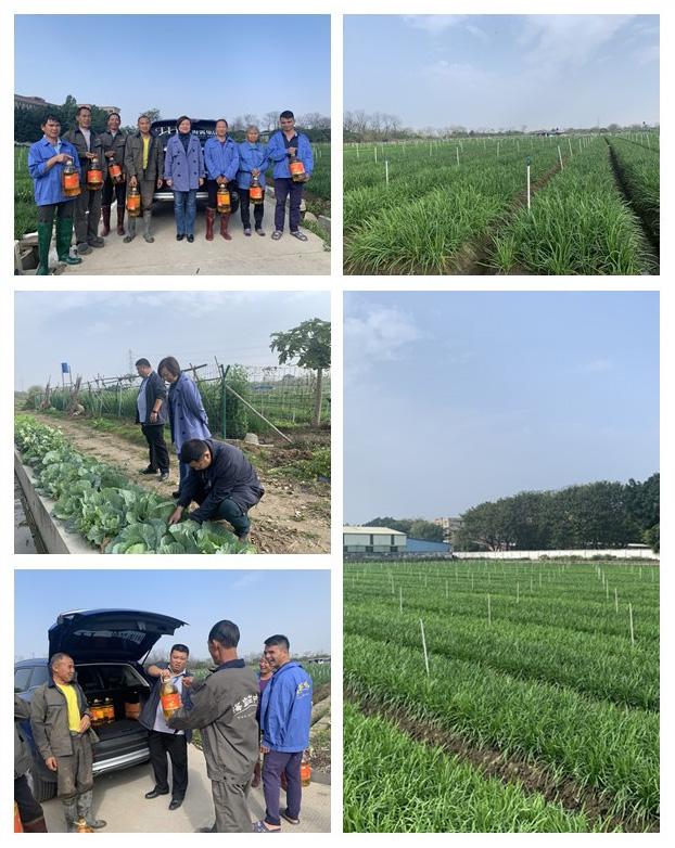 鉴黑担保网(jhdbw)·最具权威唯一维权担保平台