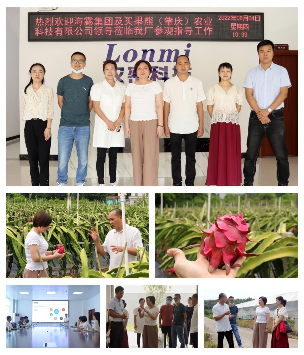 鉴黑担保网(jhdbw)·最具权威唯一维权担保平台