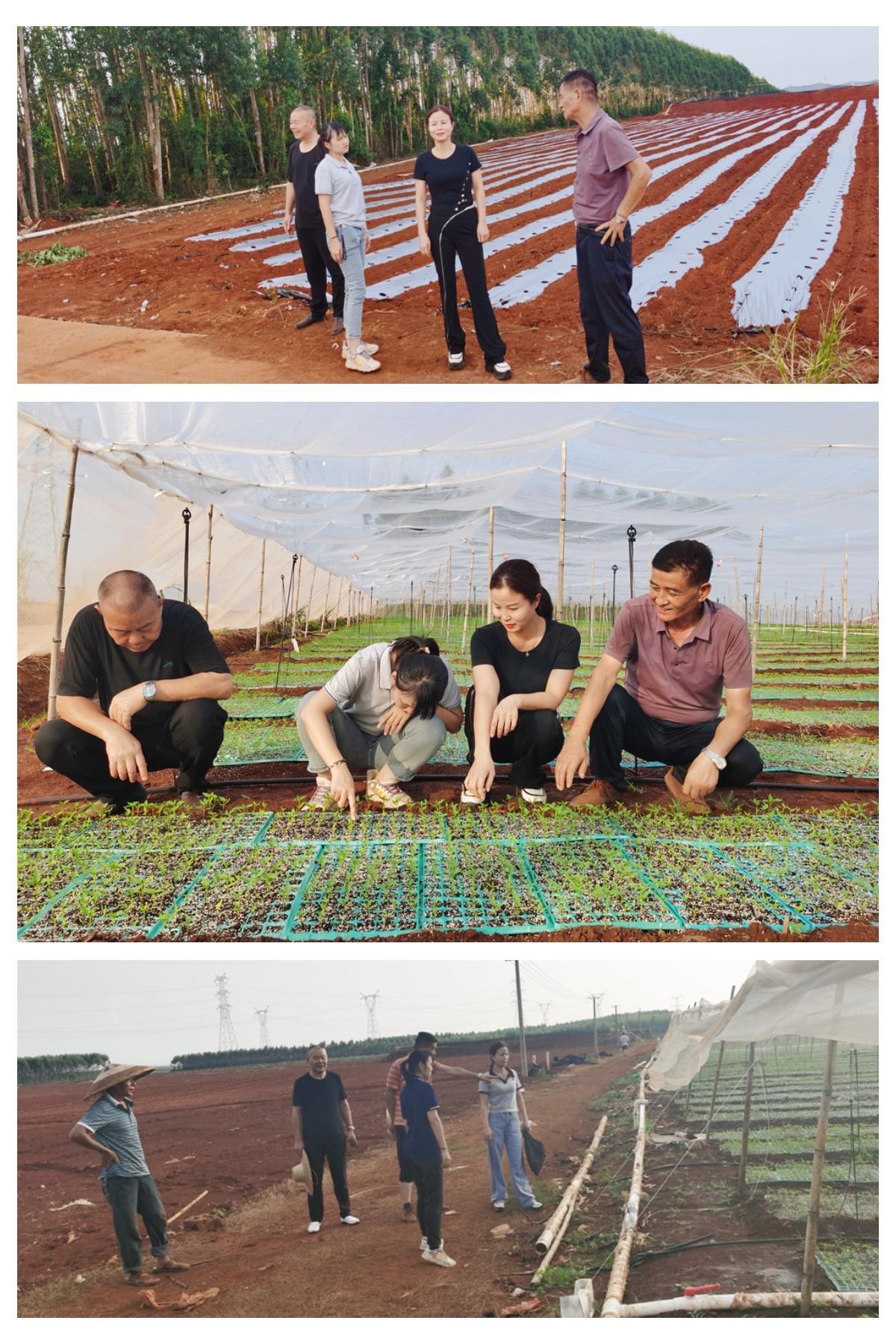 鉴黑担保网(jhdbw)·最具权威唯一维权担保平台