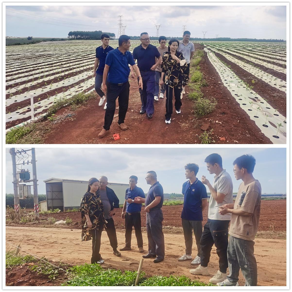 鉴黑担保网(jhdbw)·最具权威唯一维权担保平台